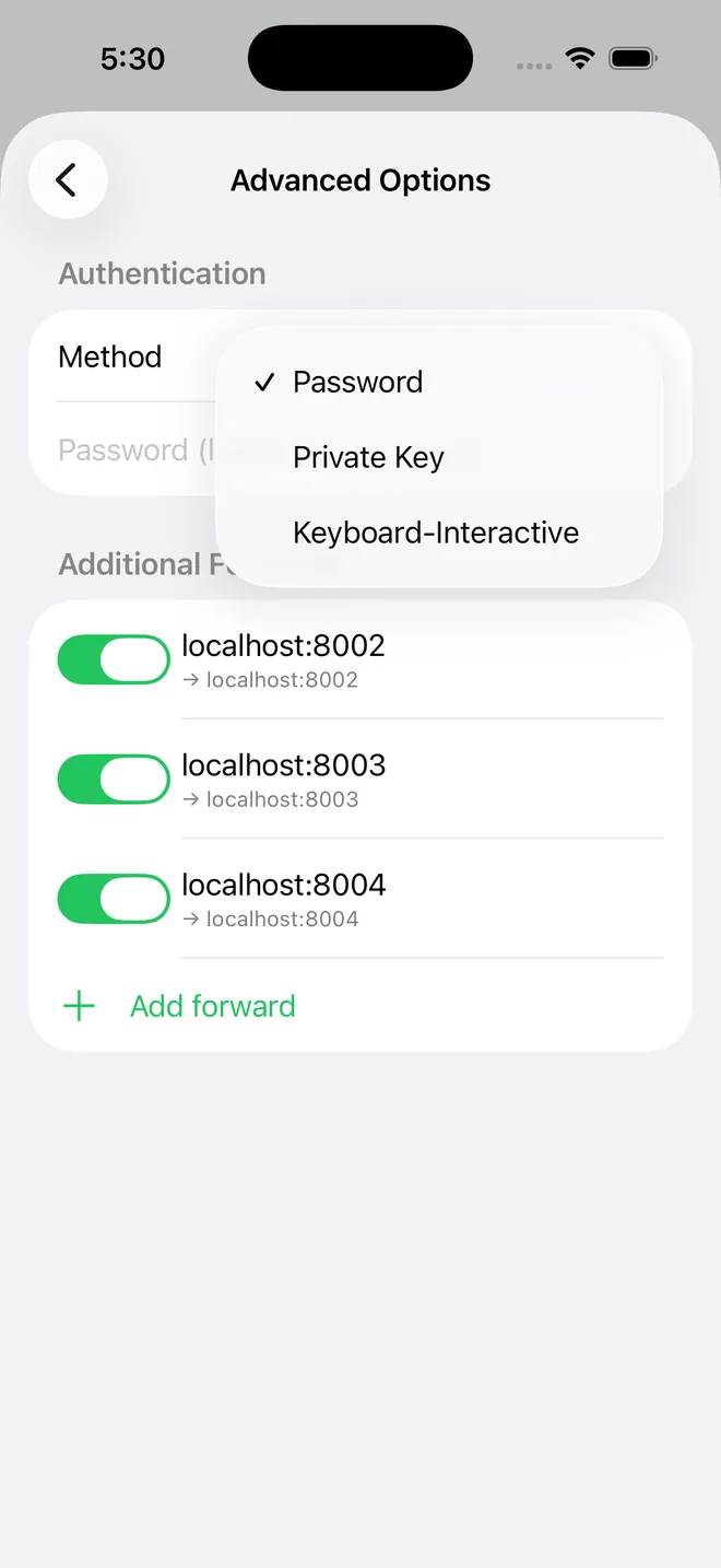 Authentication options: password, private key, and keyboard-interactive 2FA